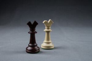 chess openings 1703086532 1